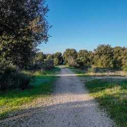 Click to enlarge image istria-olive-oil-tour-005.jpg