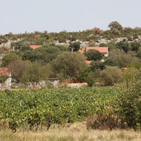 The Oldest Cheese in the World Was Made in Croatia